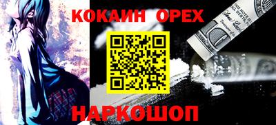 индика Кингисепп