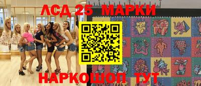 индика Кингисепп