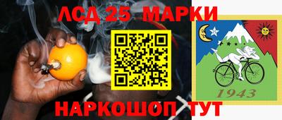 индика Кингисепп