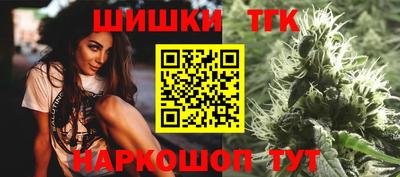 индика Кингисепп