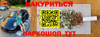 индика Кингисепп