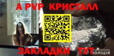 индика Кингисепп