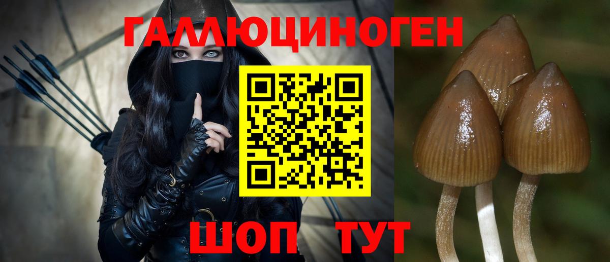 Псилоцибиновые грибы ЛСД  Вход с VPN  Курск 